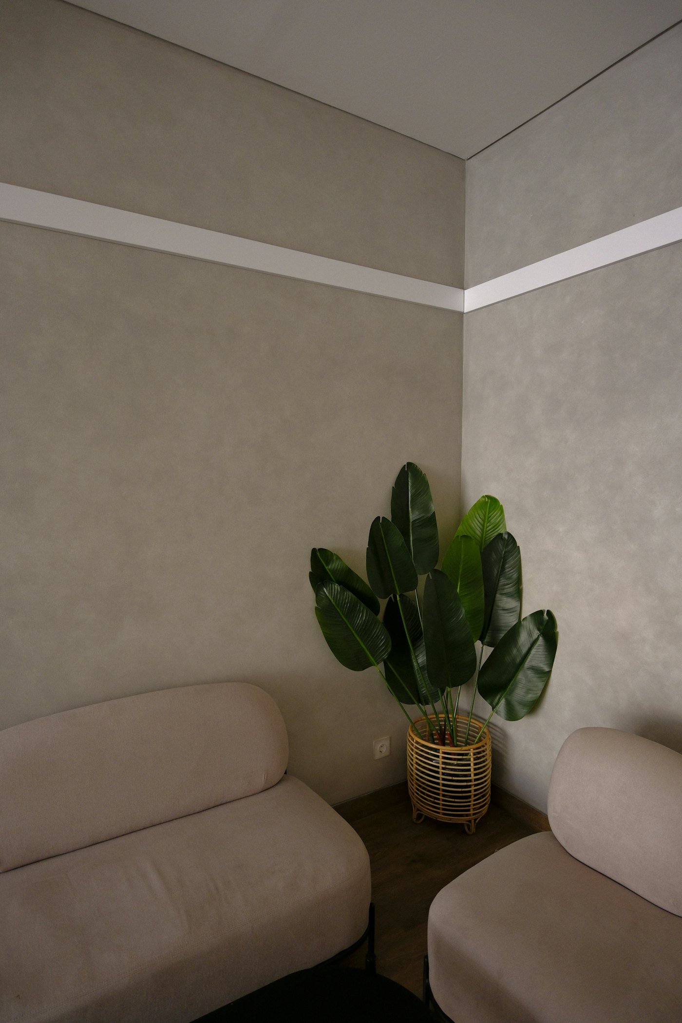A calm corner with a plant and a sofa